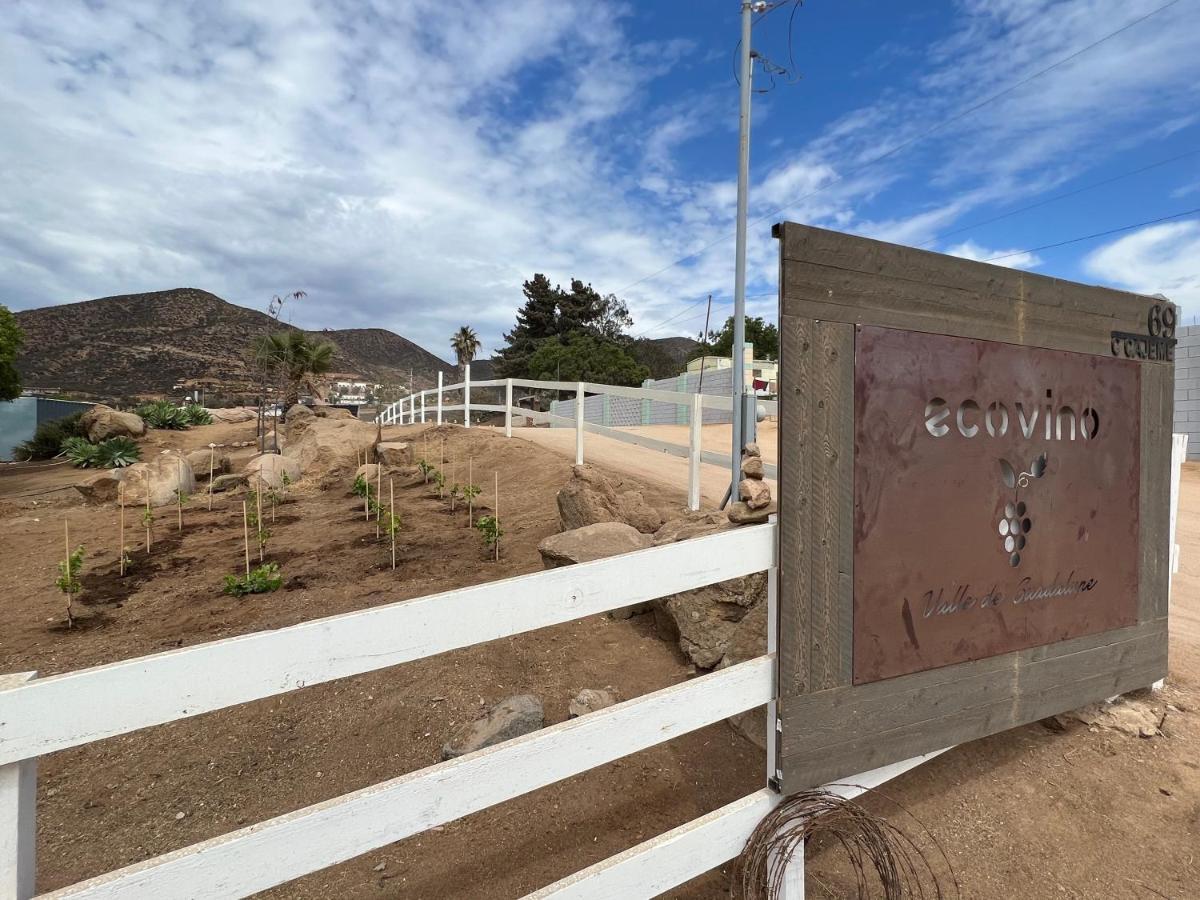 Ecovino Valle De Guadalupe Dış mekan fotoğraf