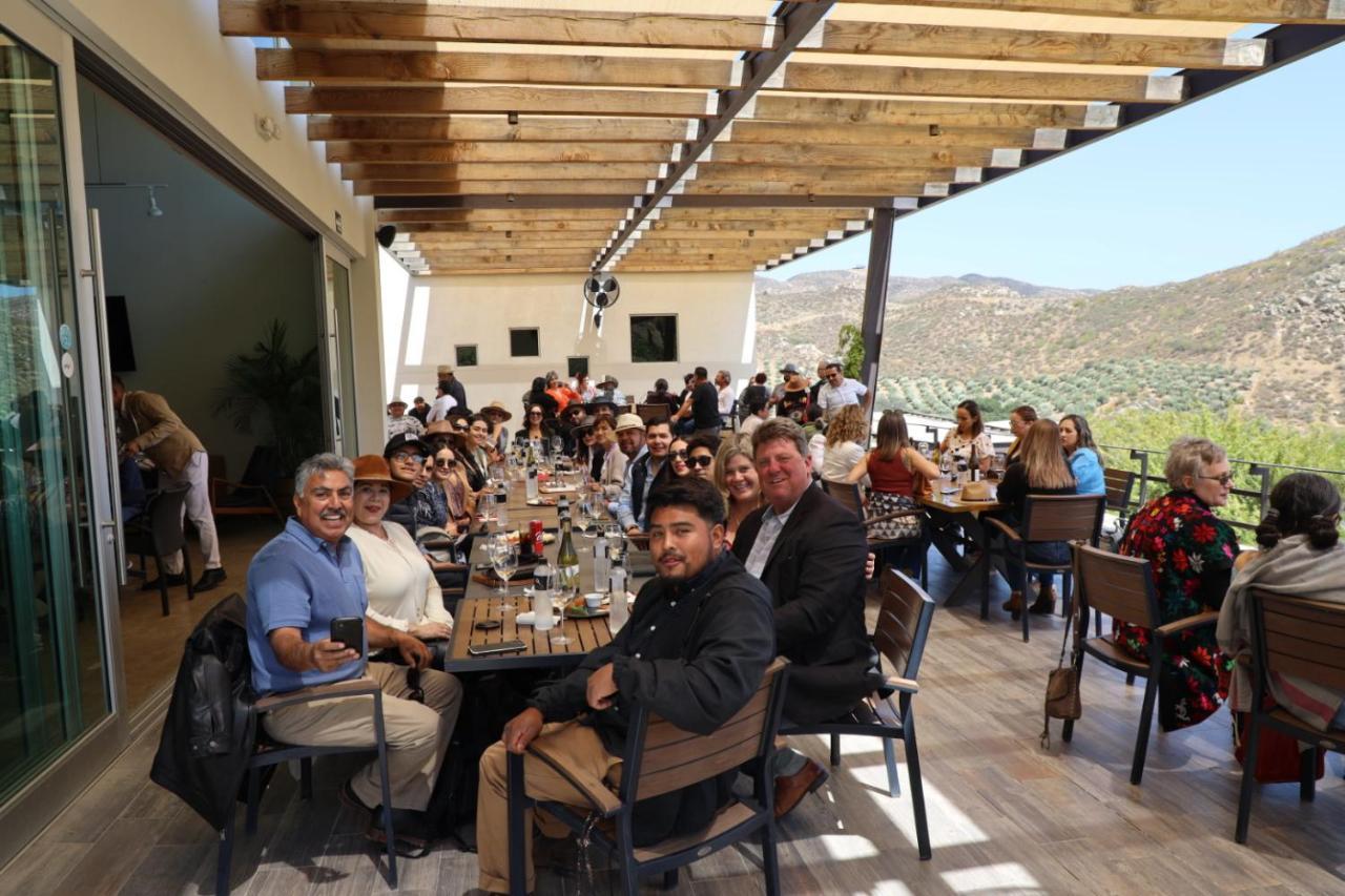 Ecovino Valle De Guadalupe Dış mekan fotoğraf